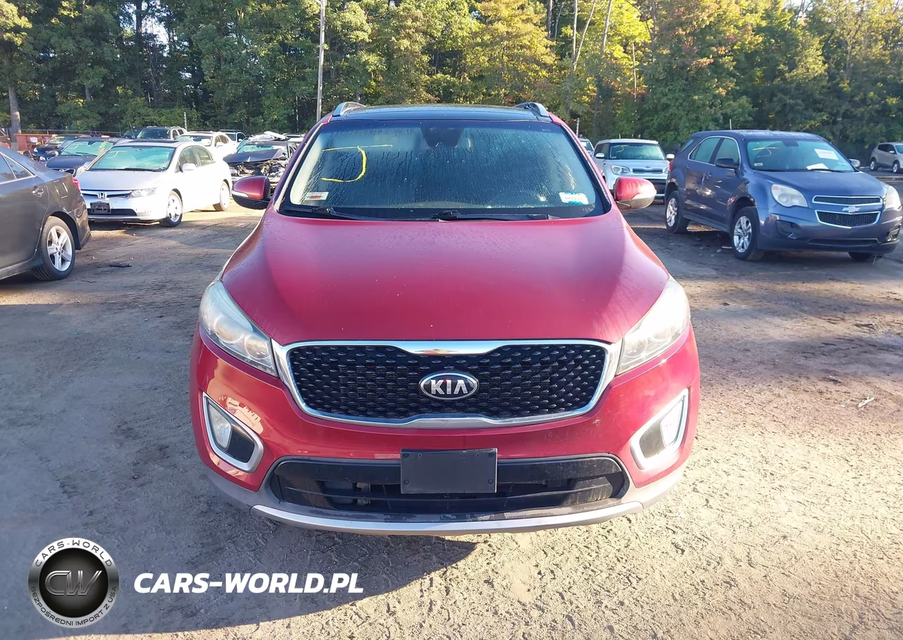 2017 Kia Sorento 3.3L Ex VIN:5XYPH4A51HG222674 - 12