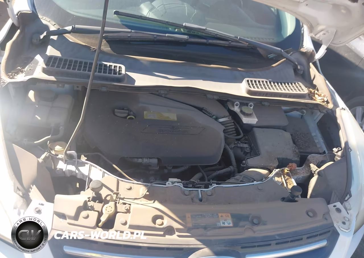 2013 Ford Escape Se VIN:1FMCU0GX5DUC13752 - 10