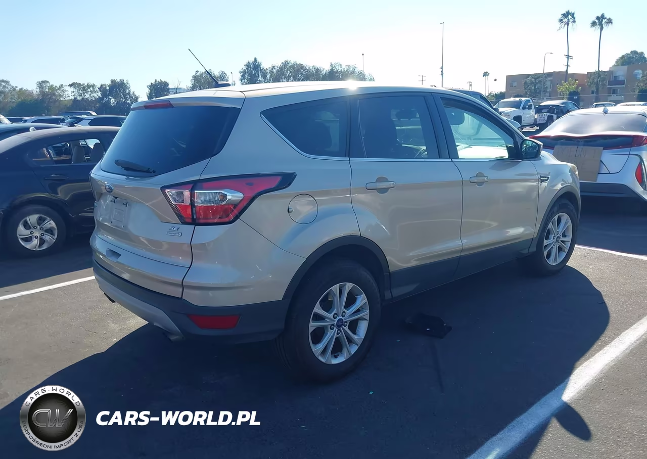 2017 Ford Escape Se VIN:1FMCU0GD0HUE53447 - 4