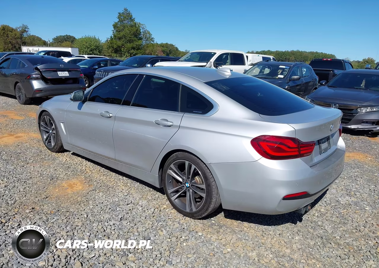 2020 BMW 430I Gran Coupe VIN:WBA4J1C05LCE09064 - 3