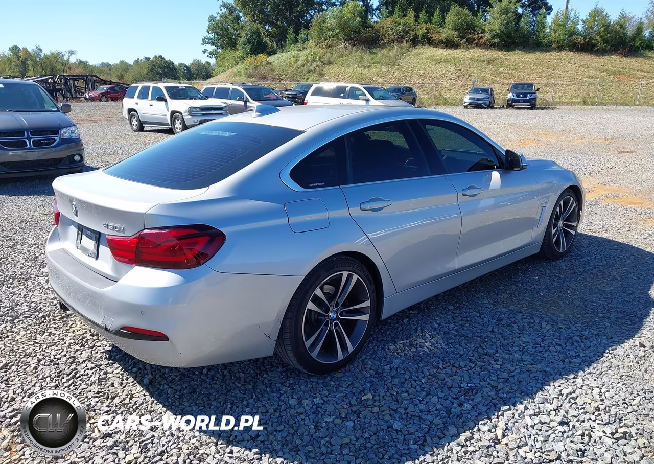 2020 BMW 430I Gran Coupe VIN:WBA4J1C05LCE09064 - 4