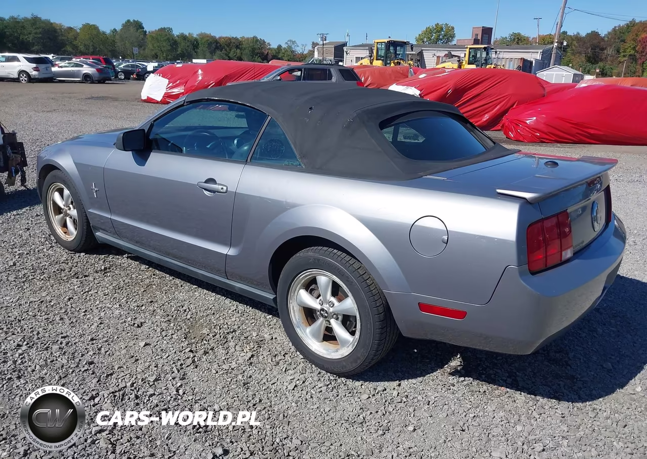 2007 Ford Mustang V6 Deluxe-V6 Premium VIN:1ZVFT84NX75198022 - 3