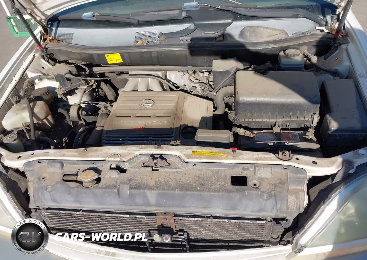 2001 Lexus Rx 300 VIN:JTJGF10U610091506 - 10