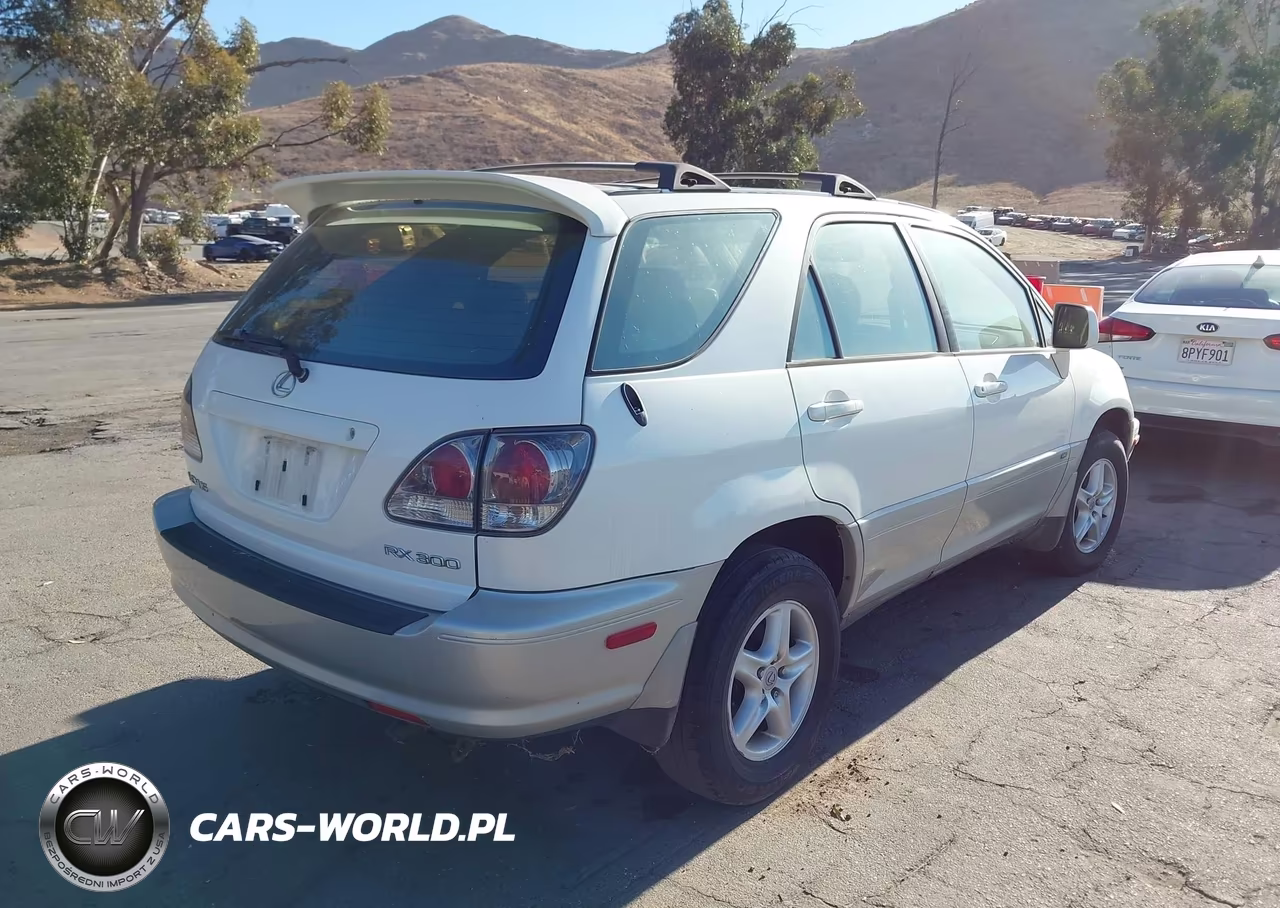 2001 Lexus Rx 300 VIN:JTJGF10U610091506 - 4