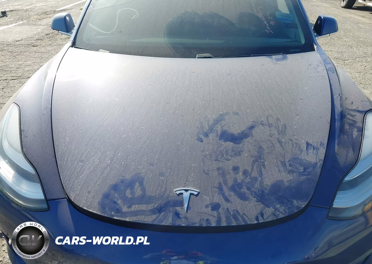 2020 Tesla Model 3 Standard Range Plus Rear-Wheel Drive-Standard Range Rear-Wheel Drive VIN:5YJ3E1EA6LF644601 - 10