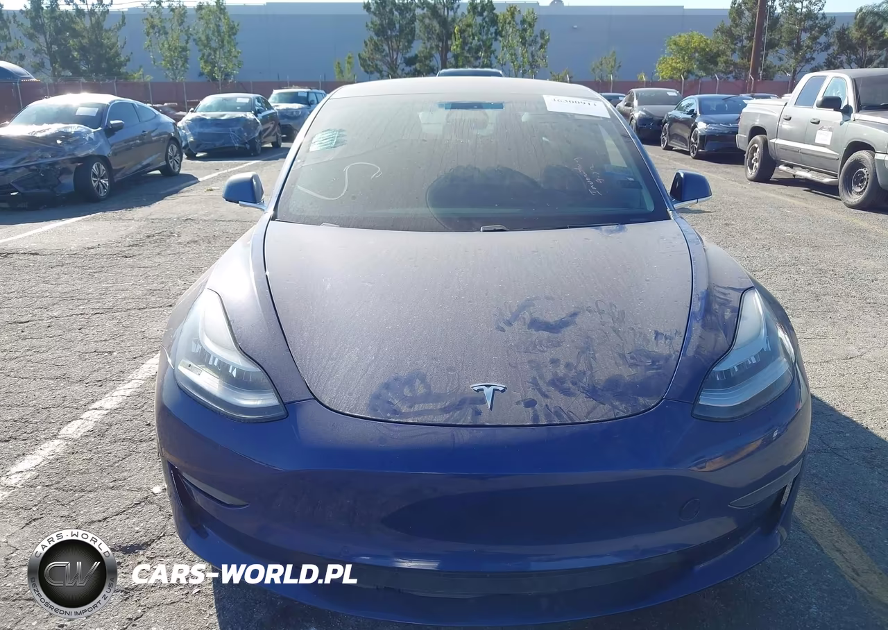 2020 Tesla Model 3 Standard Range Plus Rear-Wheel Drive-Standard Range Rear-Wheel Drive VIN:5YJ3E1EA6LF644601 - 13