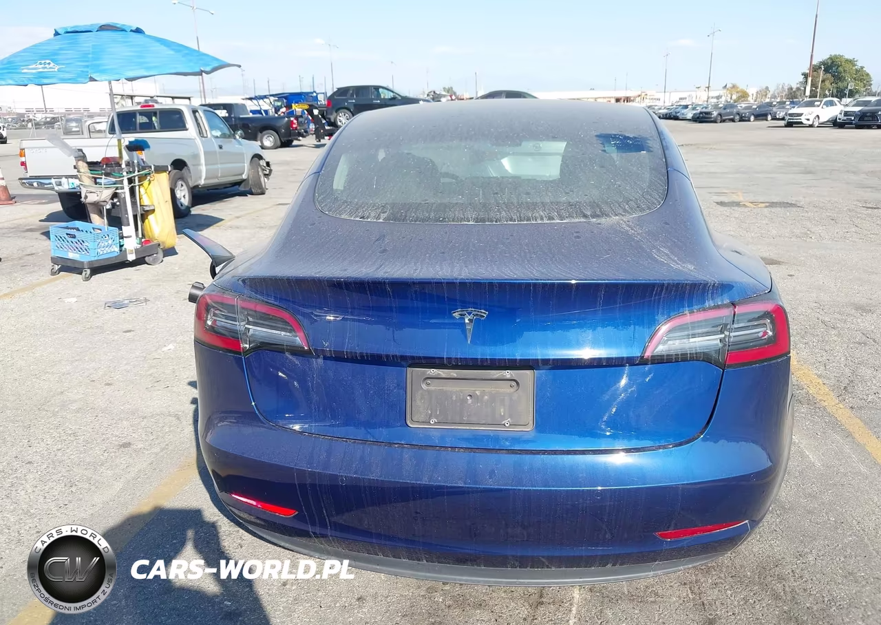 2020 Tesla Model 3 Standard Range Plus Rear-Wheel Drive-Standard Range Rear-Wheel Drive VIN:5YJ3E1EA6LF644601 - 17