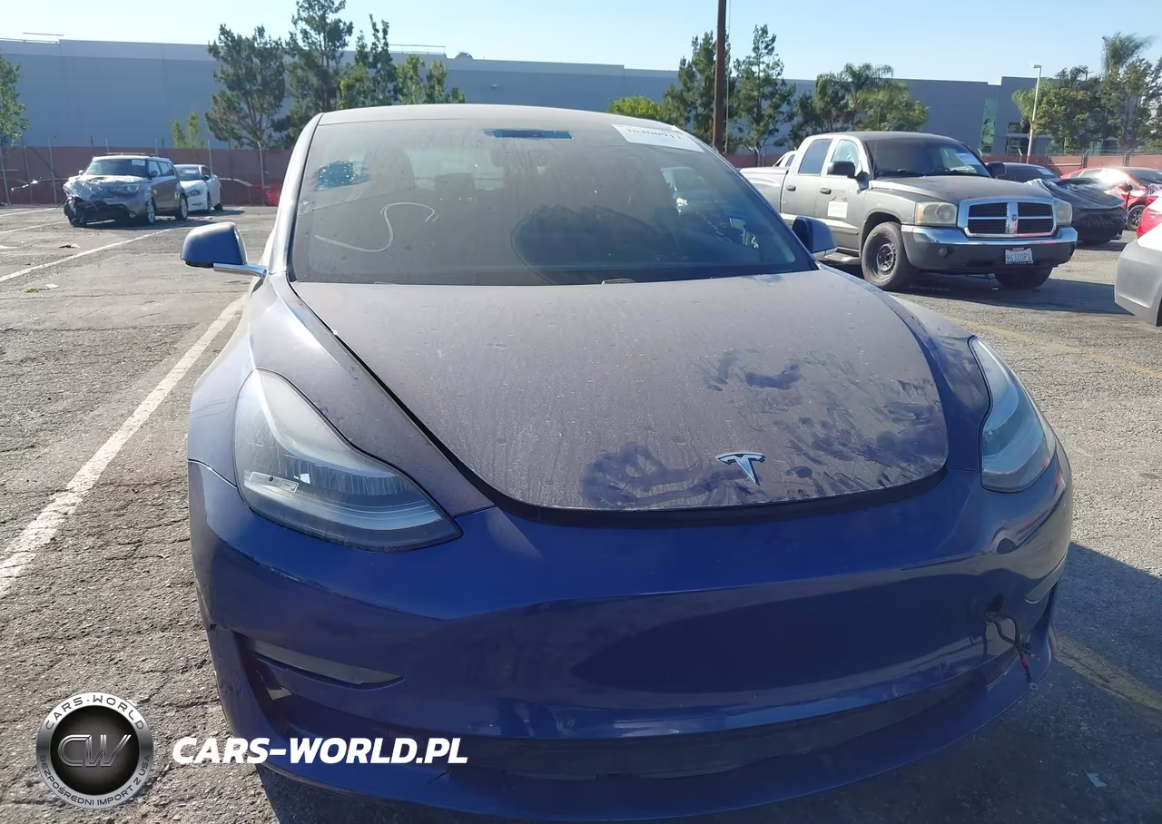 2020 Tesla Model 3 Standard Range Plus Rear-Wheel Drive-Standard Range Rear-Wheel Drive VIN:5YJ3E1EA6LF644601 - 6