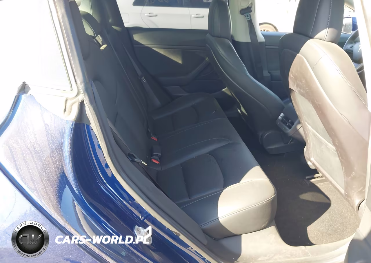 2020 Tesla Model 3 Standard Range Plus Rear-Wheel Drive-Standard Range Rear-Wheel Drive VIN:5YJ3E1EA6LF644601 - 8