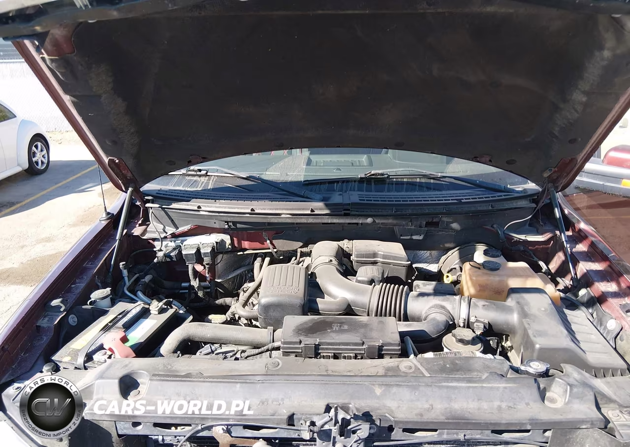 2009 Ford F-150 Fx4-Lariat-Xl-Xlt VIN:1FTPX14V79KA27493 - 10