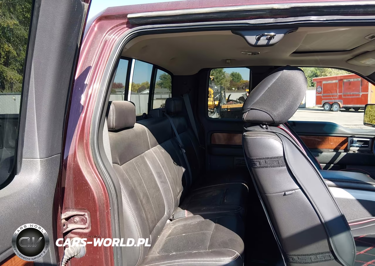 2009 Ford F-150 Fx4-Lariat-Xl-Xlt VIN:1FTPX14V79KA27493 - 8