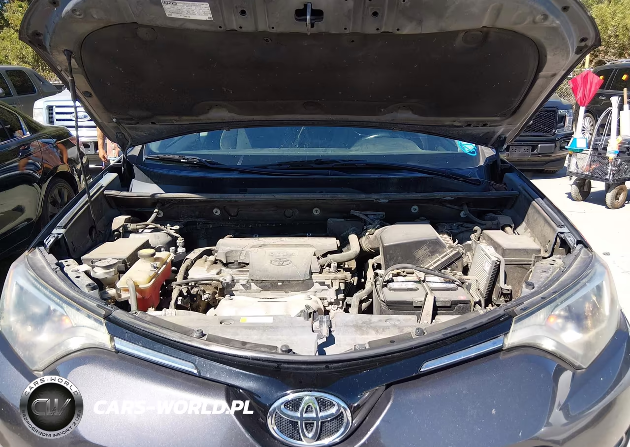 2016 Toyota Rav4 Xle VIN:2T3WFREV9GW252367 - 10