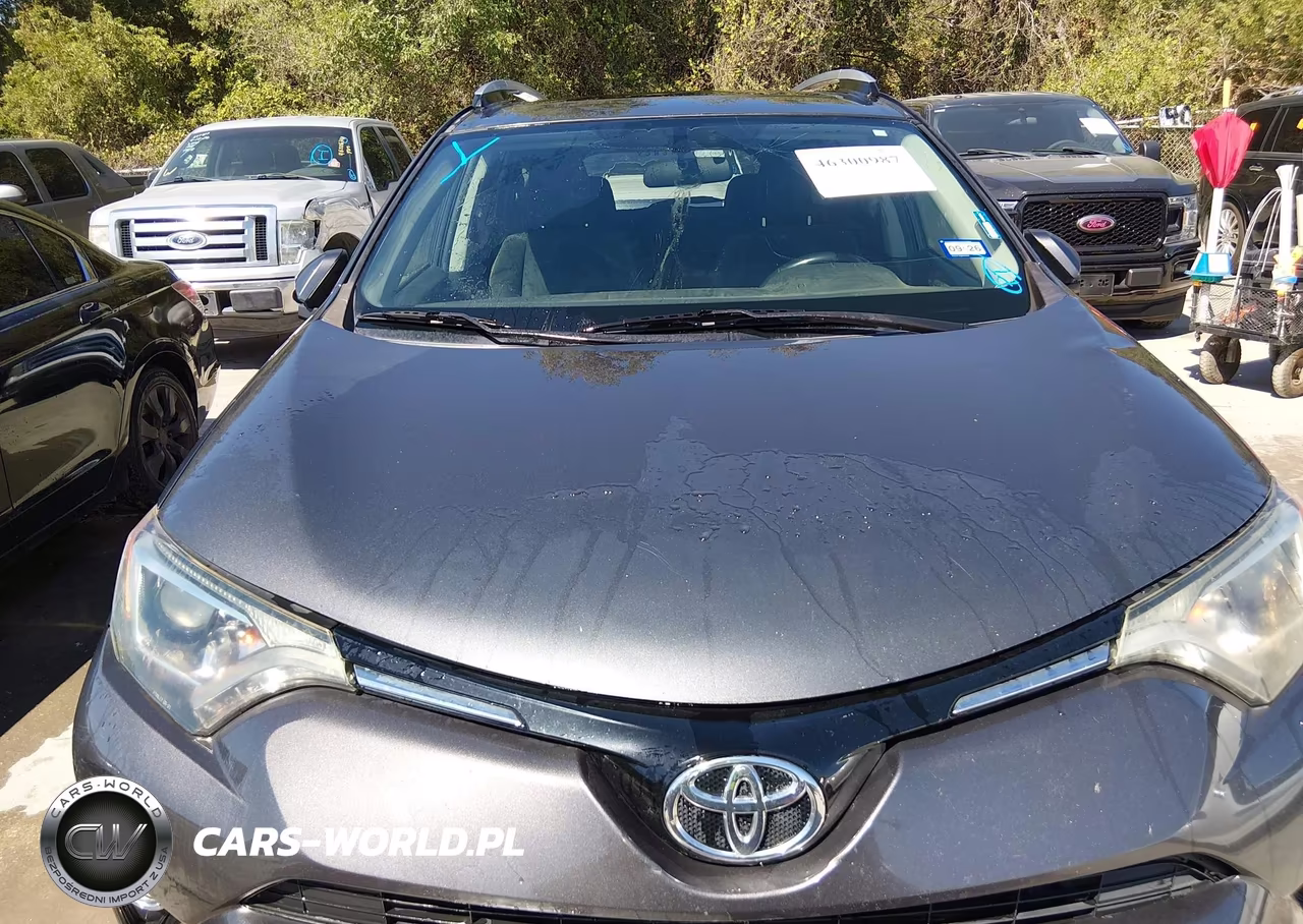 2016 Toyota Rav4 Xle VIN:2T3WFREV9GW252367 - 12