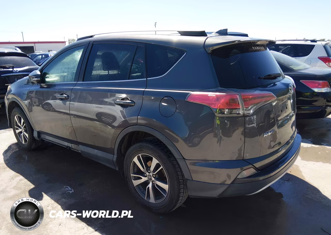 2016 Toyota Rav4 Xle VIN:2T3WFREV9GW252367 - 3