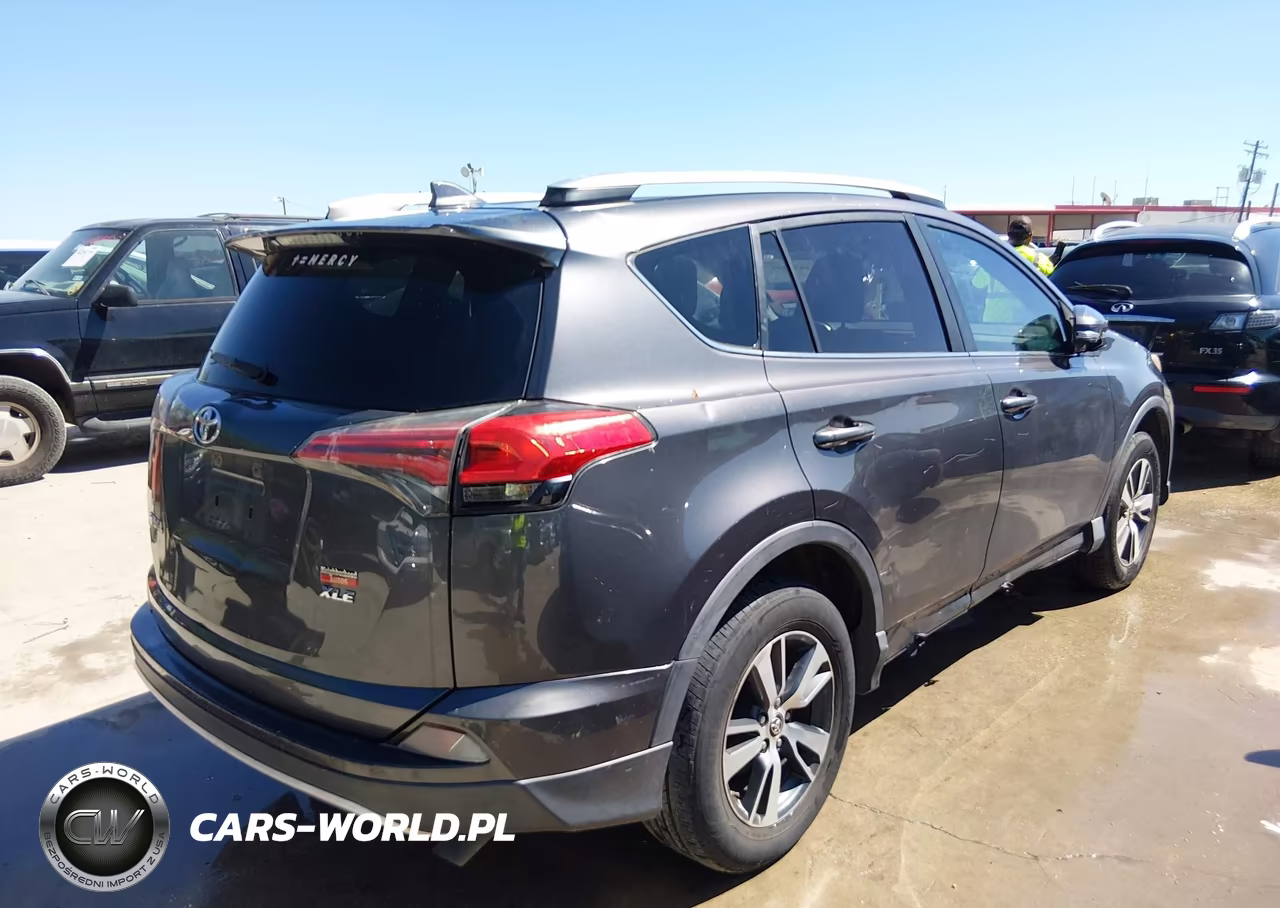 2016 Toyota Rav4 Xle VIN:2T3WFREV9GW252367 - 4