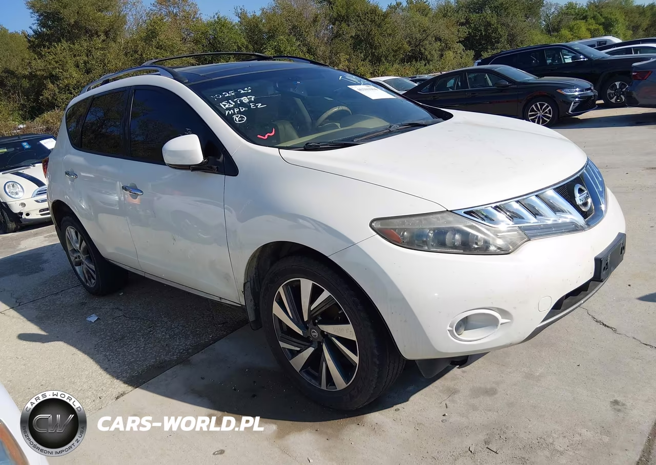 2010 Nissan Murano Le VIN:JN8AZ1MW2AW137314 - 1