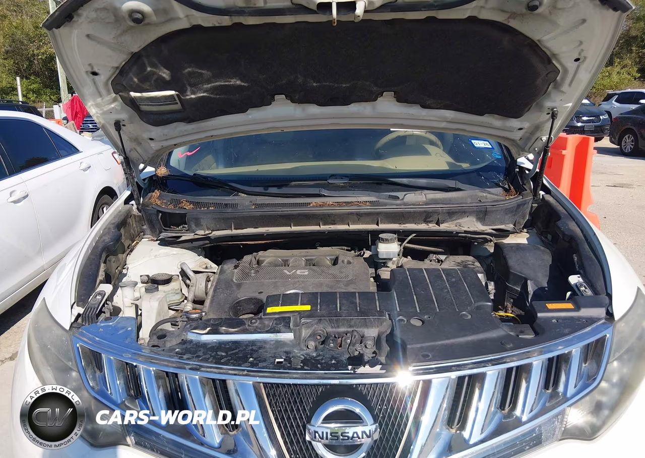 2010 Nissan Murano Le VIN:JN8AZ1MW2AW137314 - 10