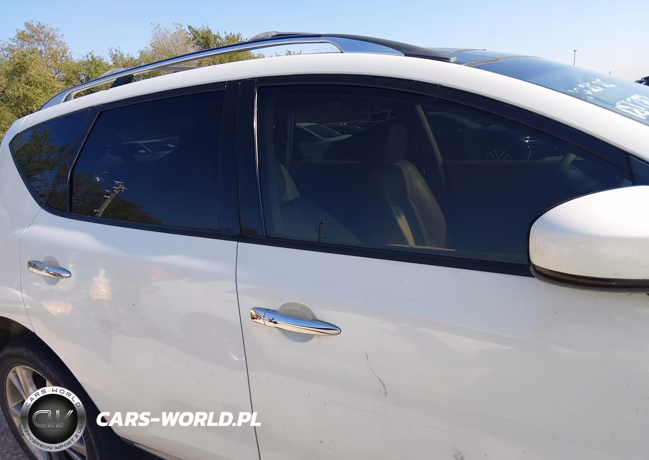 2010 Nissan Murano Le VIN:JN8AZ1MW2AW137314 - 13