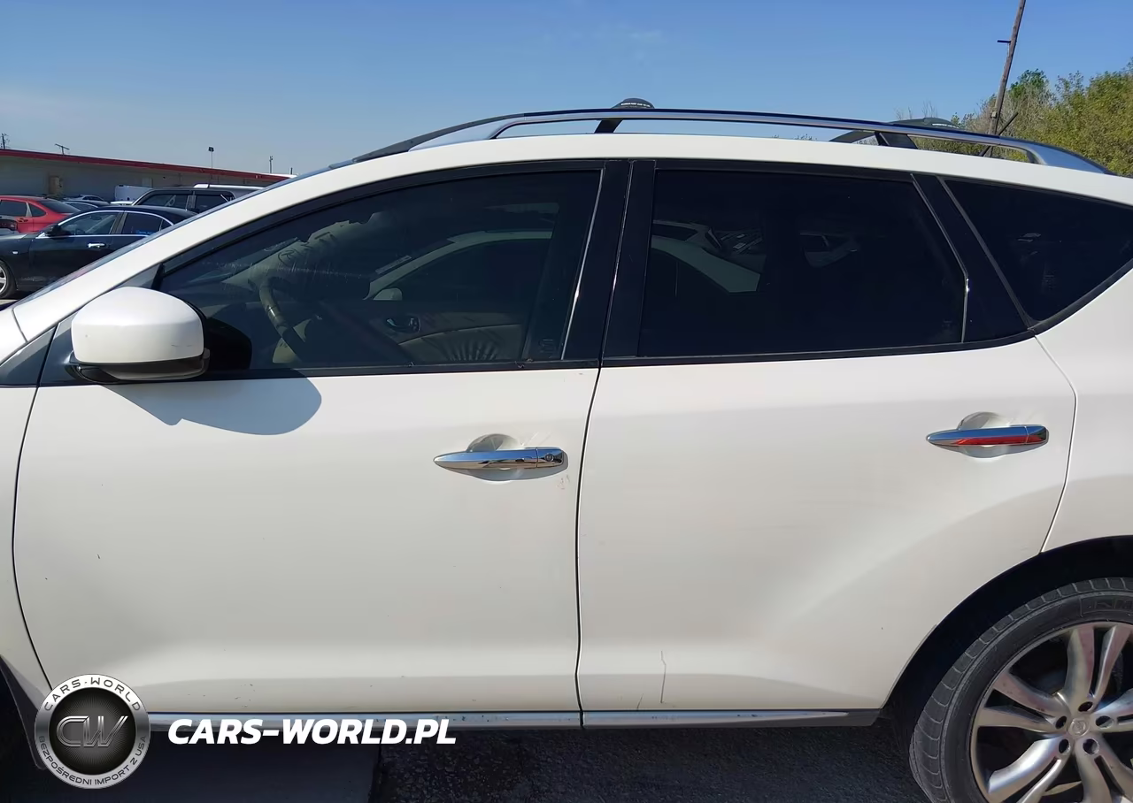 2010 Nissan Murano Le VIN:JN8AZ1MW2AW137314 - 14
