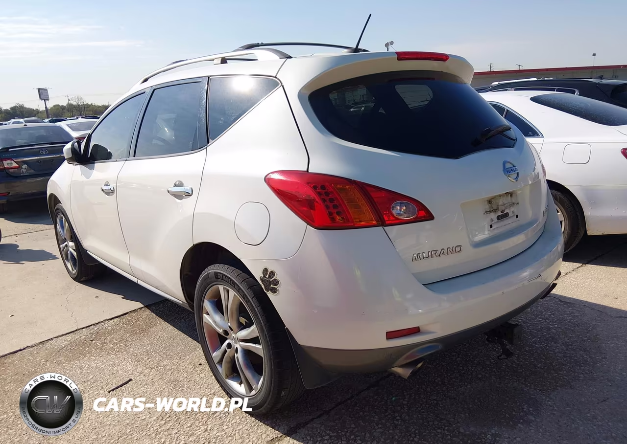 2010 Nissan Murano Le VIN:JN8AZ1MW2AW137314 - 3