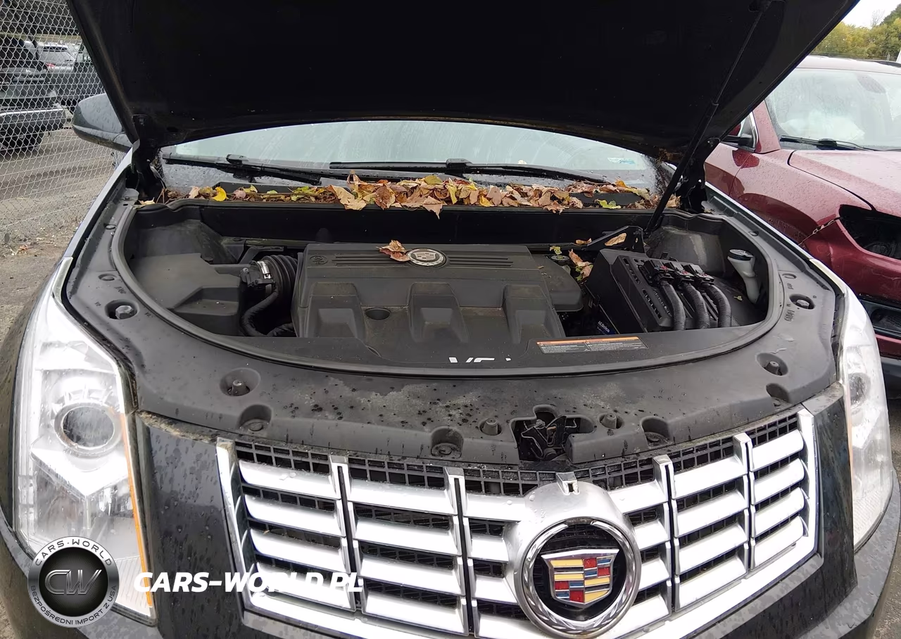 2015 Cadillac Srx Luxury Collection VIN:3GYFNEE33FS577936 - 10