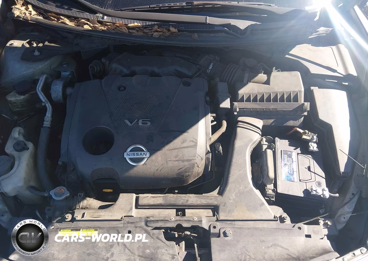 2009 Nissan Maxima 3.5 Sv VIN:1N4AA51E79C856812 - 10