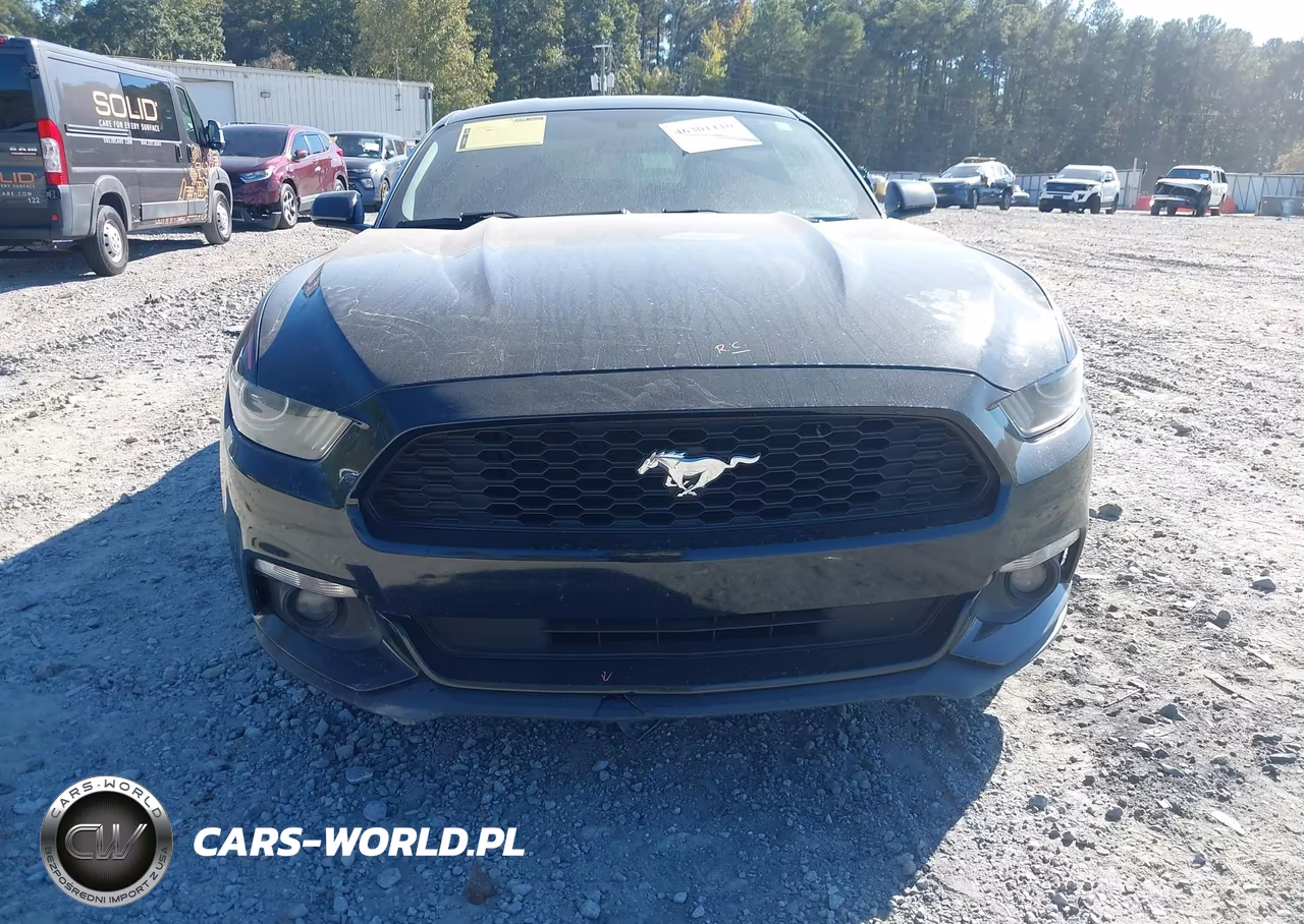 2016 Ford Mustang V6 VIN:1FA6P8AM5G5232313 - 12