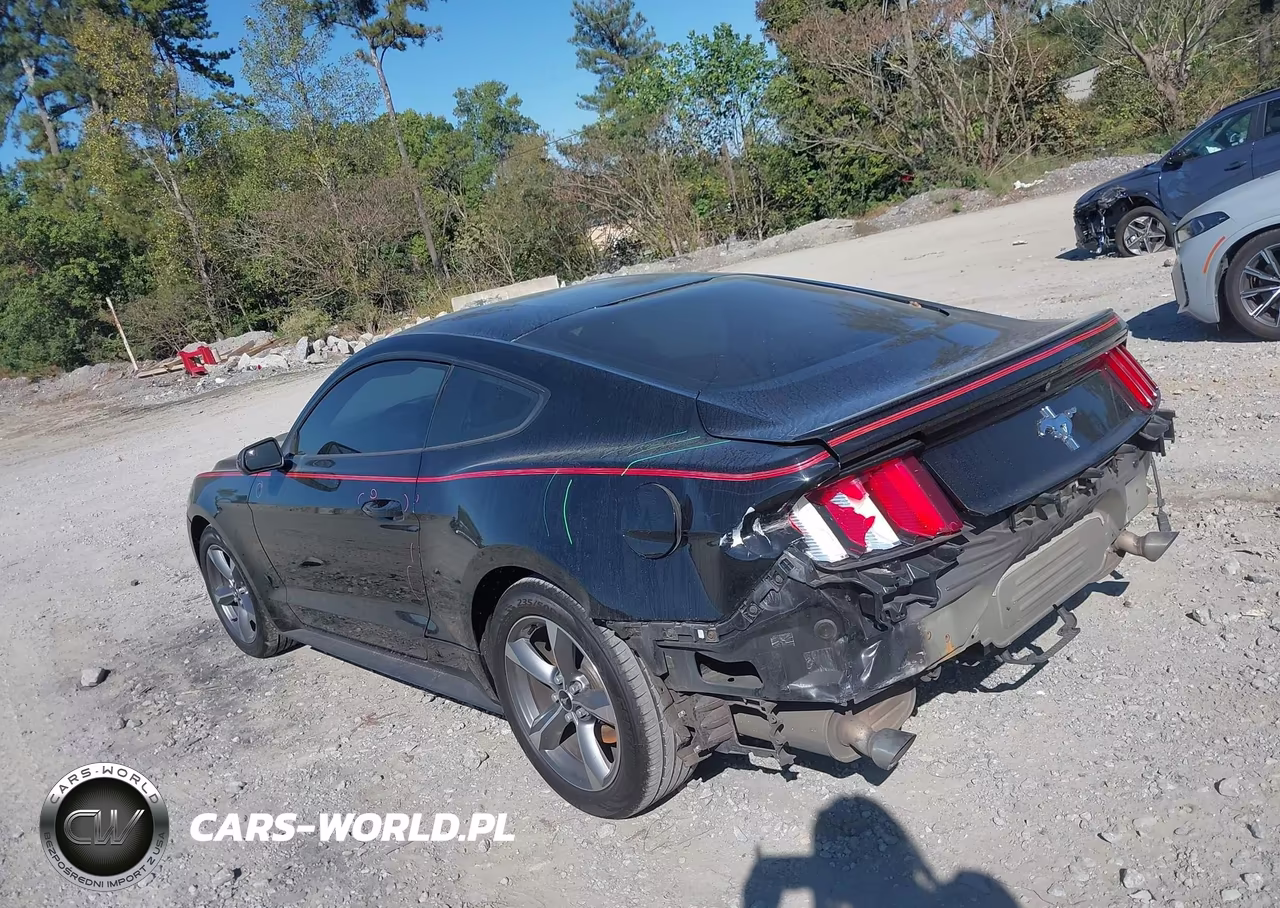 2016 Ford Mustang V6 VIN:1FA6P8AM5G5232313 - 14