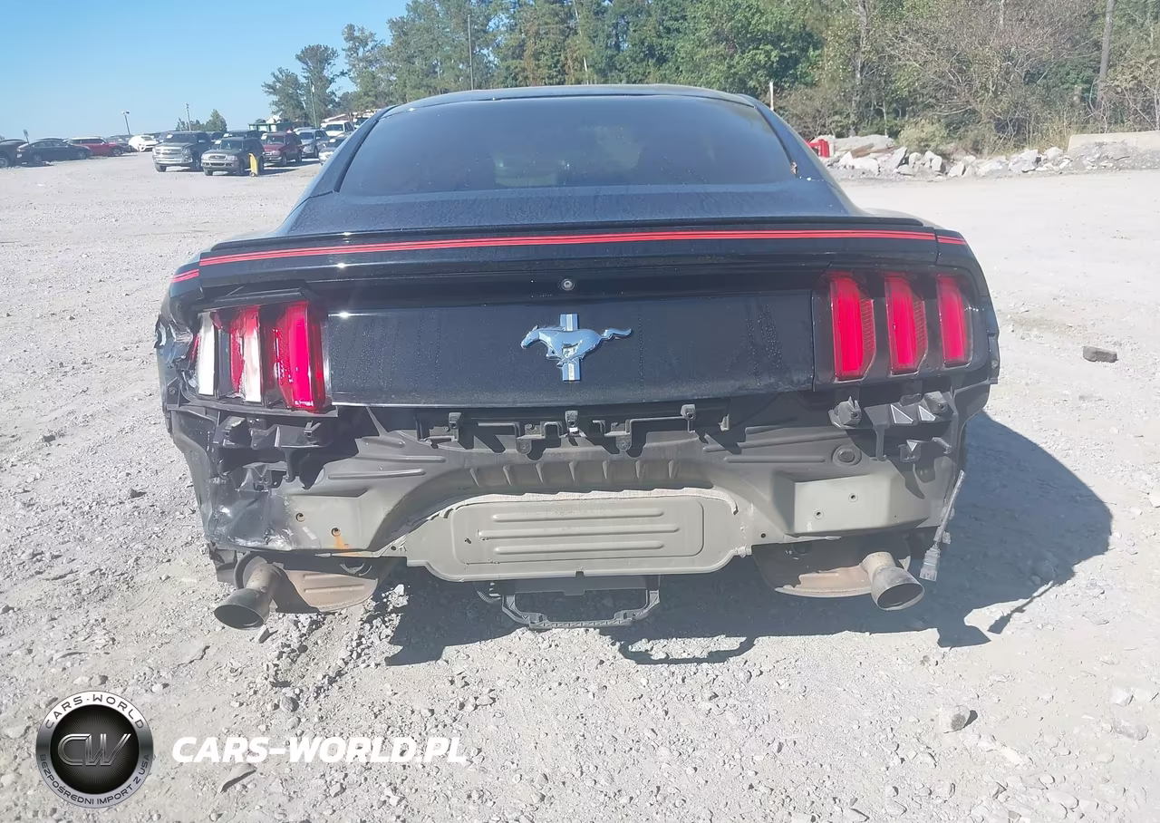 2016 Ford Mustang V6 VIN:1FA6P8AM5G5232313 - 16