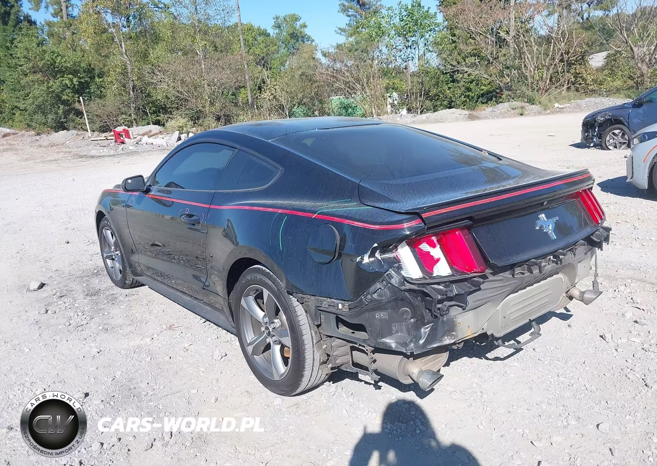 2016 Ford Mustang V6 VIN:1FA6P8AM5G5232313 - 3