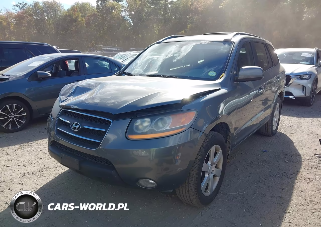 2009 Hyundai Santa Fe Limited VIN:5NMSH73E89H274349 - 2