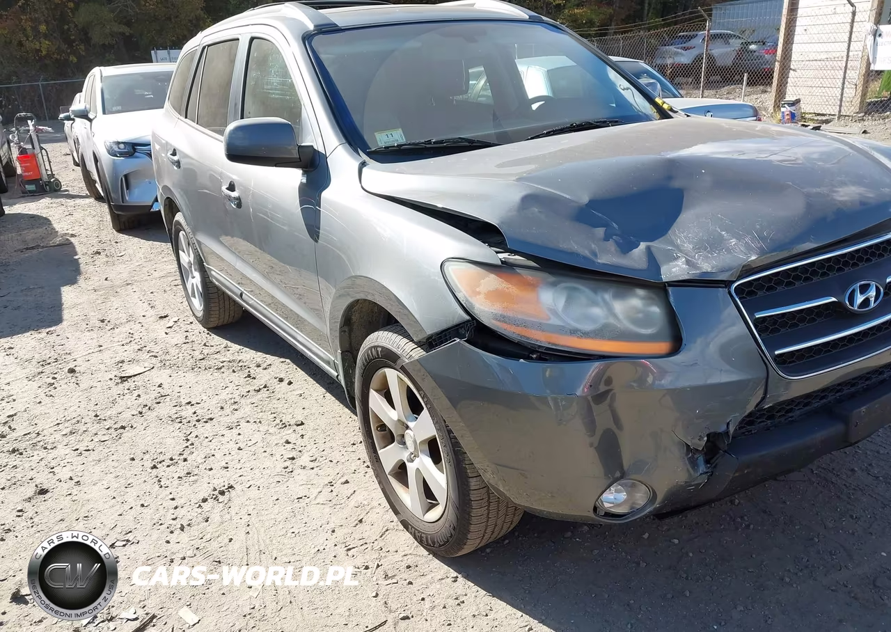 2009 Hyundai Santa Fe Limited VIN:5NMSH73E89H274349 - 6