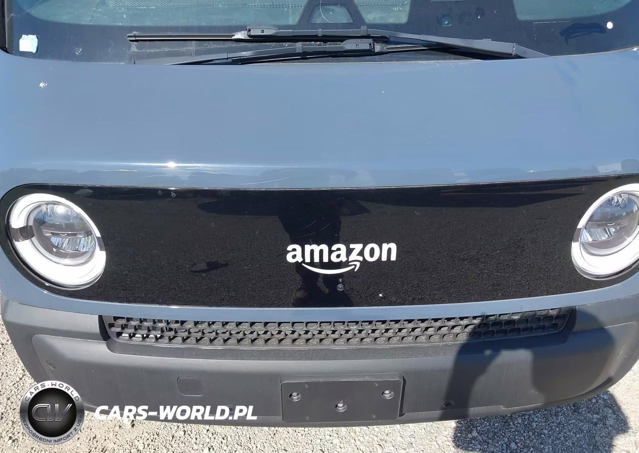 2024 Rivian Delivery 700 VIN:7FCEHEB29RN020283 - 10