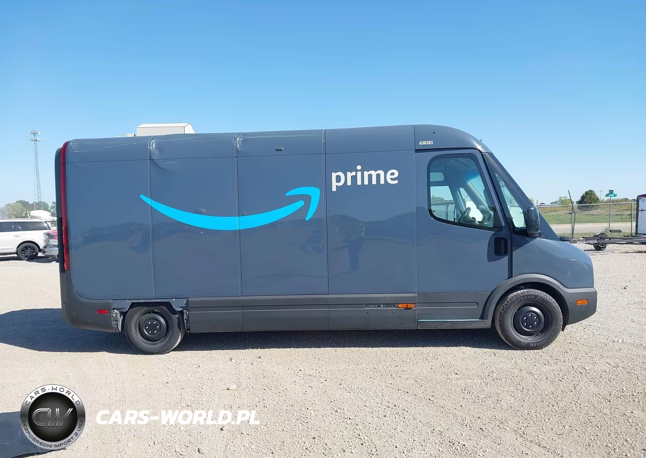 2024 Rivian Delivery 700 VIN:7FCEHEB29RN020283 - 13