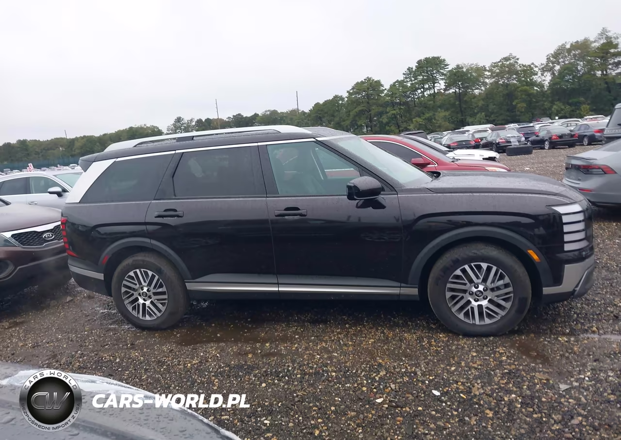 2026 Hyundai Palisade Sel 7P VIN:KM8RLES22TU062597 - 13