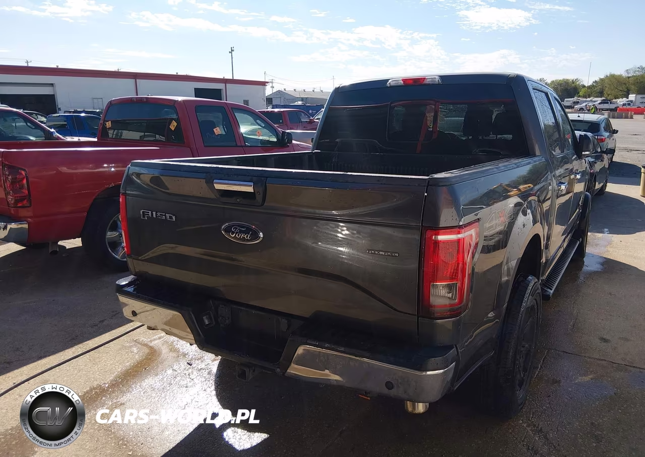 2016 Ford F-150 Xlt VIN:1FTEW1EF5GFB81109 - 16