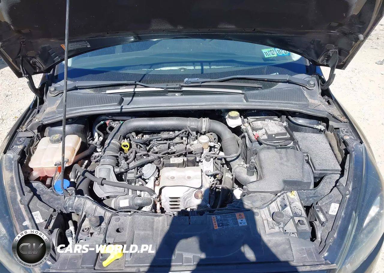 2017 Ford Focus Se VIN:1FADP3FE4HL275923 - 10