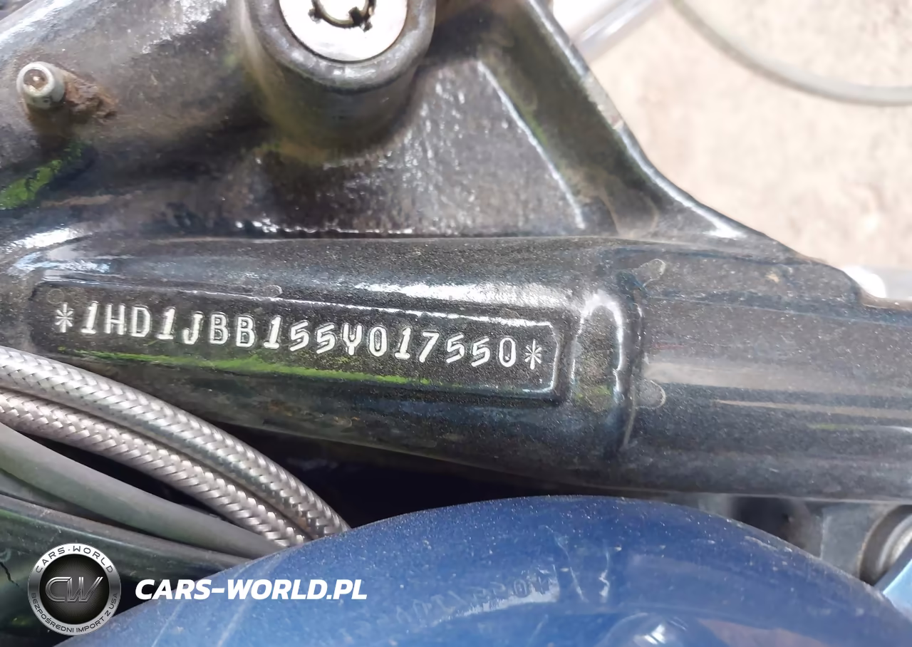 2005 Harley-Davidson Fxstdi VIN:1HD1JBB155Y017550 - 10