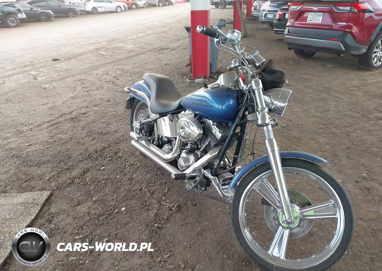 2005 Harley-Davidson Fxstdi VIN:1HD1JBB155Y017550 - 11