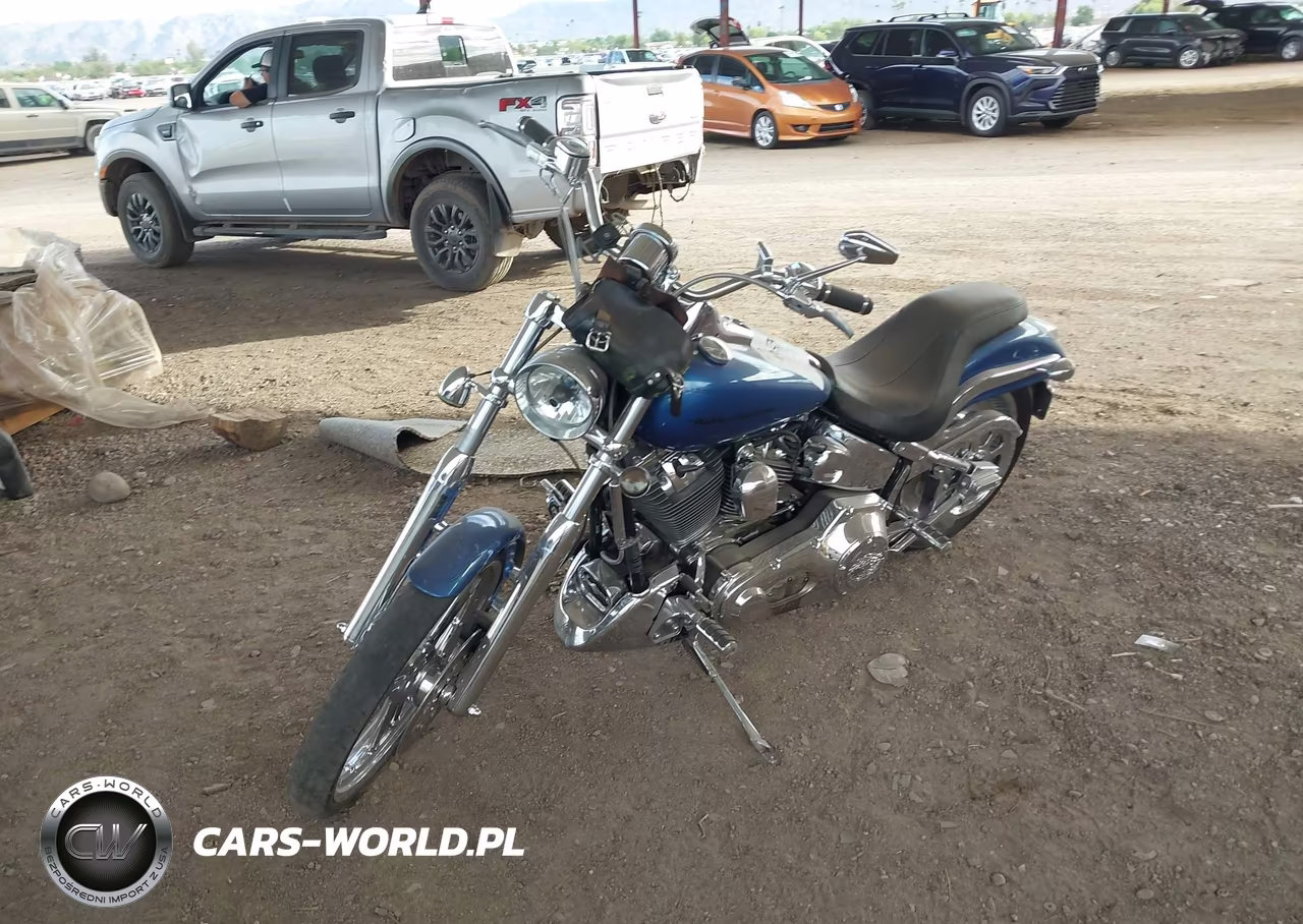 2005 Harley-Davidson Fxstdi VIN:1HD1JBB155Y017550 - 2