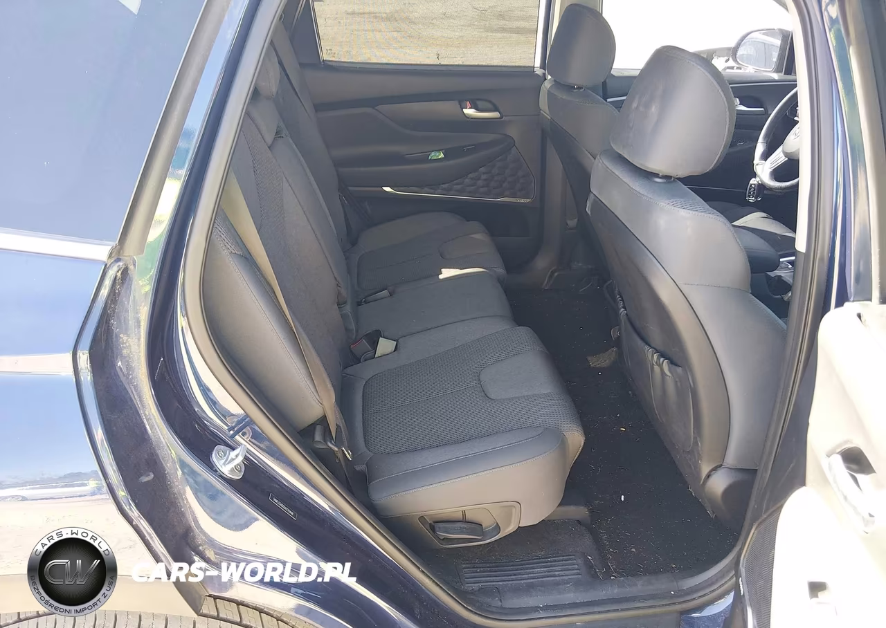 2020 Hyundai Santa Fe Sel VIN:5NMS33AD0LH270448 - 8