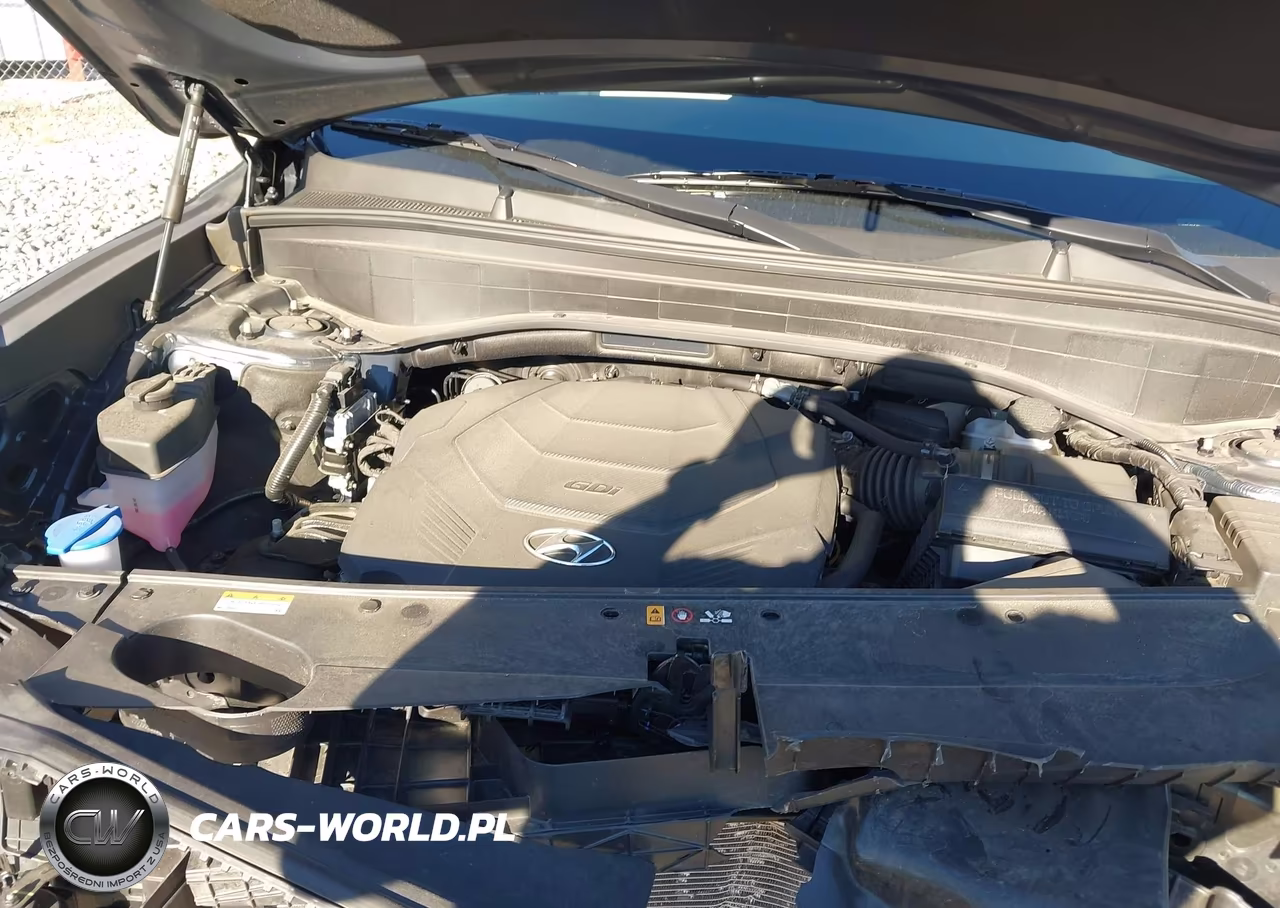 2022 Hyundai Palisade Sel VIN:KM8R4DHE9NU459476 - 10