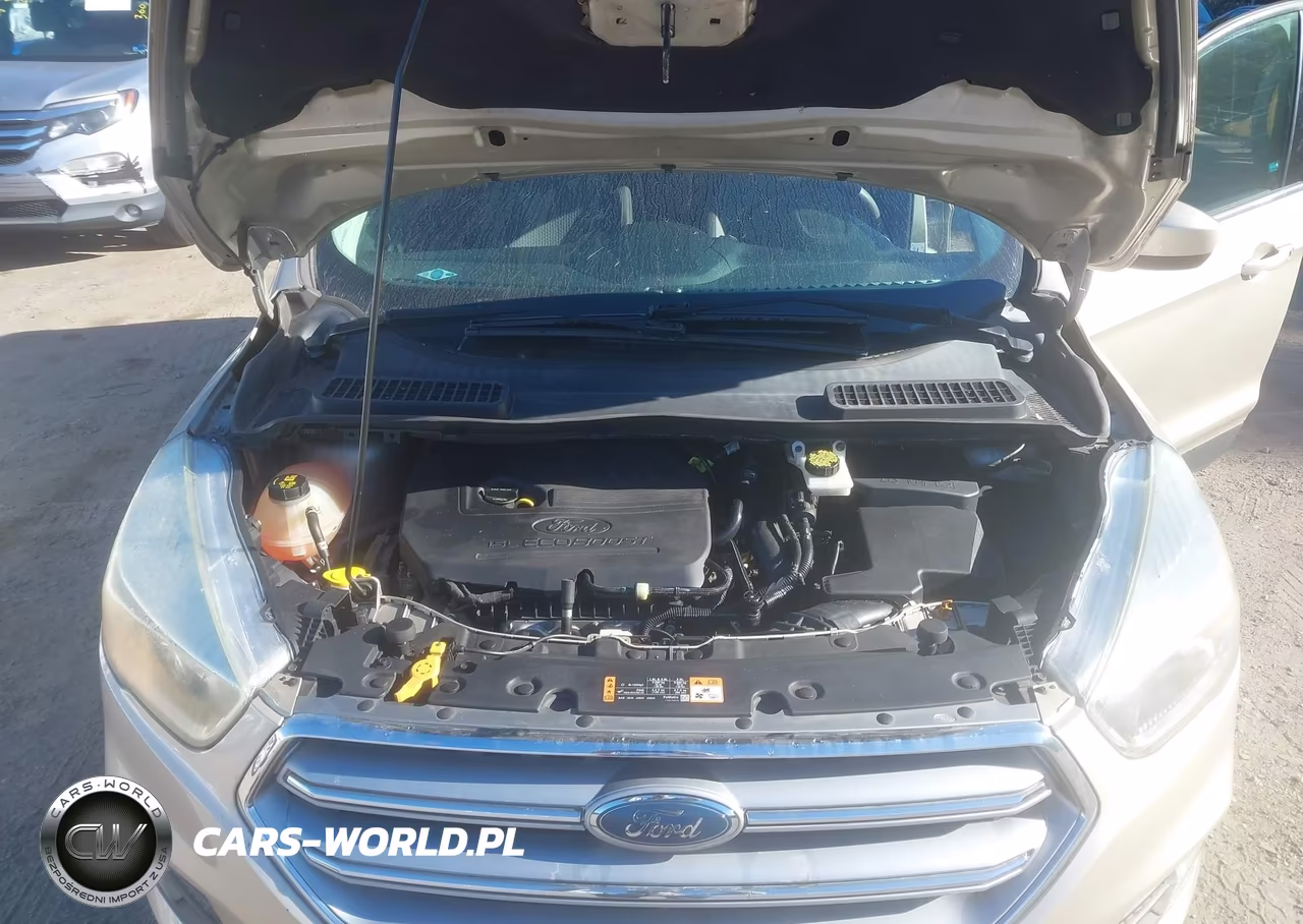 2017 Ford Escape Se VIN:1FMCU0GD0HUC41843 - 10