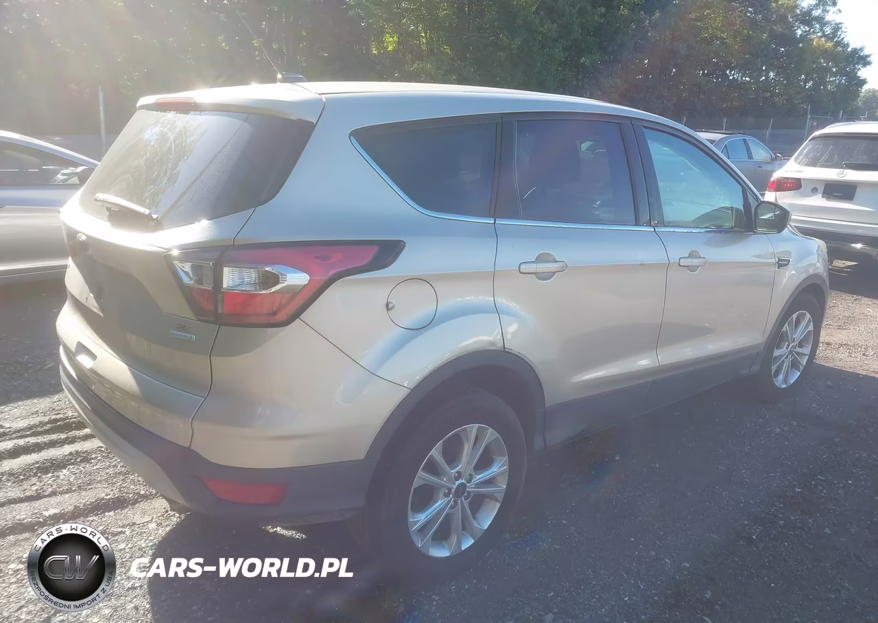 2017 Ford Escape Se VIN:1FMCU0GD0HUC41843 - 4