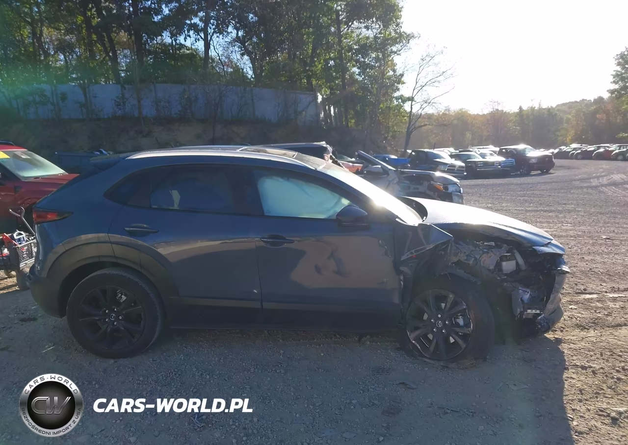 2026 Mazda Cx-30 2.5 S Carbon Edition VIN:3MVDMBCL1TM128576 - 13