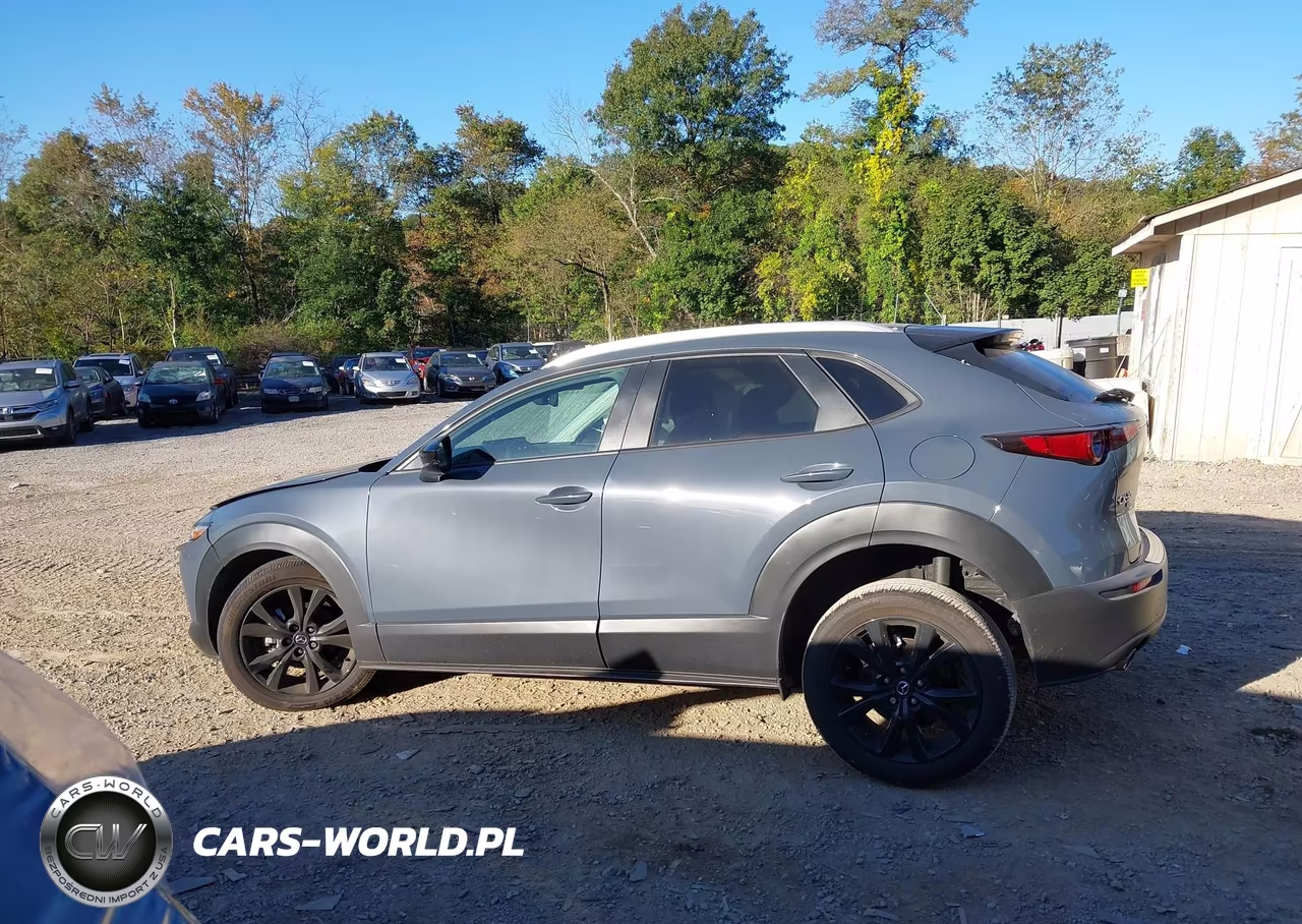 2026 Mazda Cx-30 2.5 S Carbon Edition VIN:3MVDMBCL1TM128576 - 14