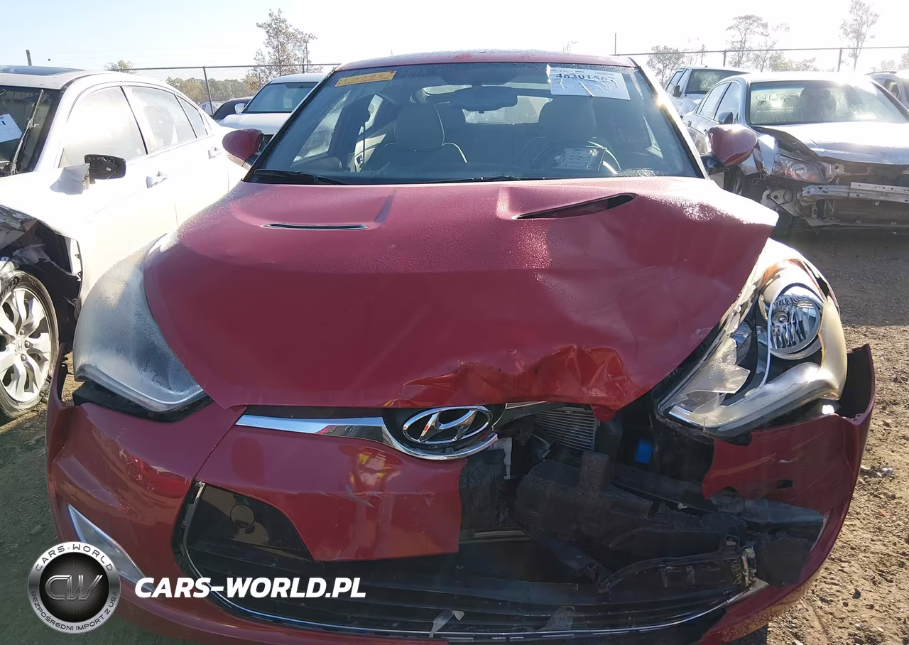 2013 Hyundai Veloster Base W-Gray VIN:KMHTC6ADXDU107981 - 12