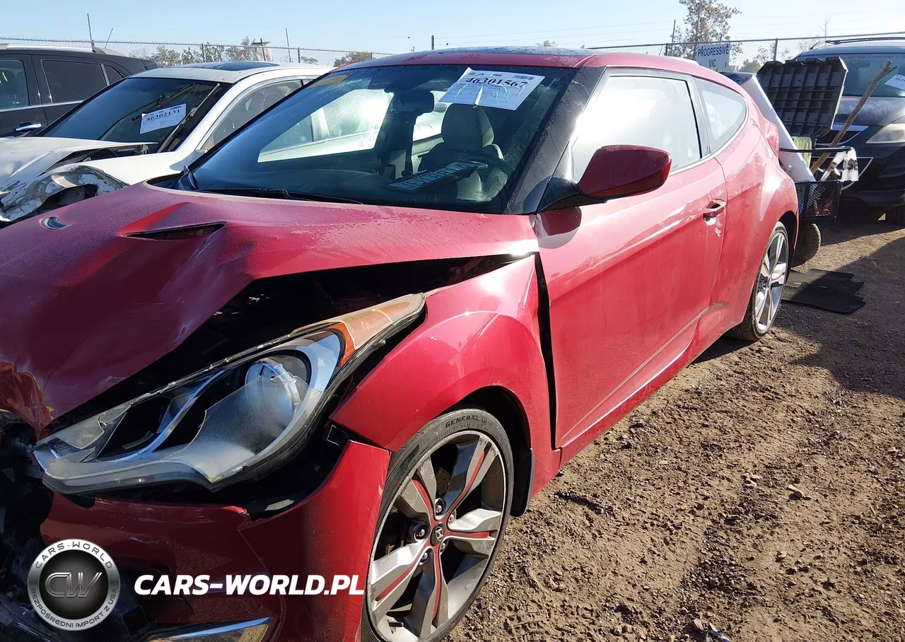 2013 Hyundai Veloster Base W-Gray VIN:KMHTC6ADXDU107981 - 2