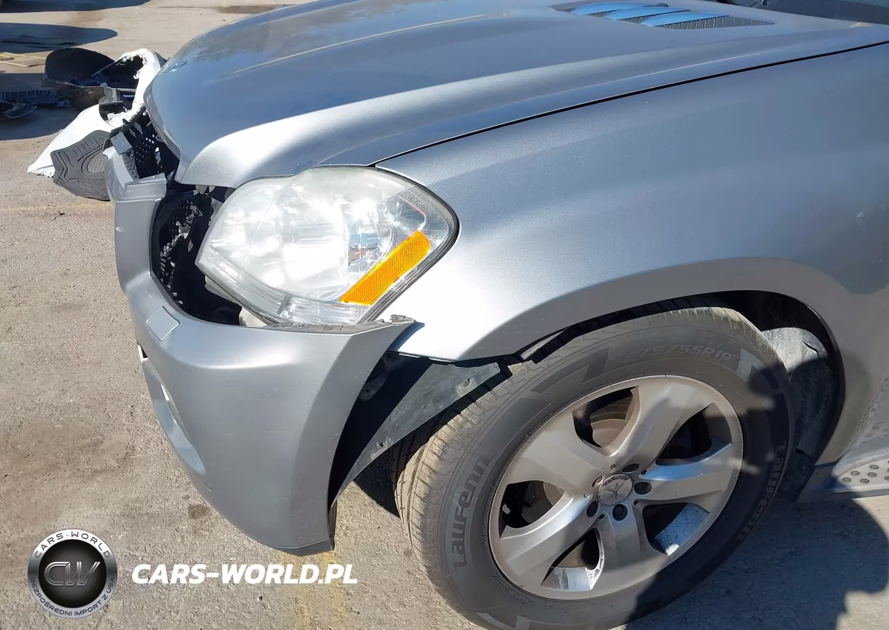2011 Mercedes-Benz Gl 450 4Matic VIN:4JGBF7BE9BA738249 - 18