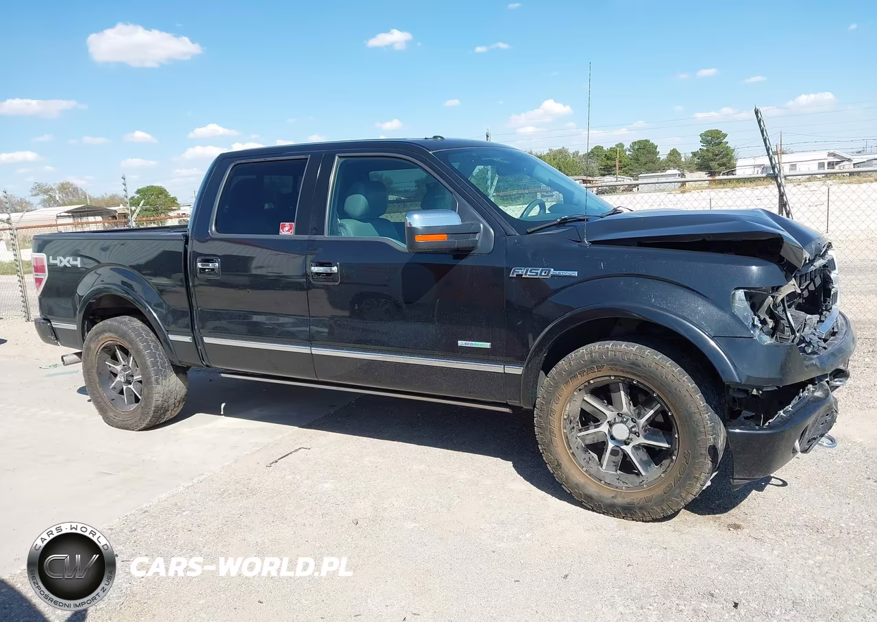 2012 Ford F-150 Platinum VIN:1FTFW1ETXCFA94861 - 13